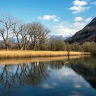 Langensee Tessin