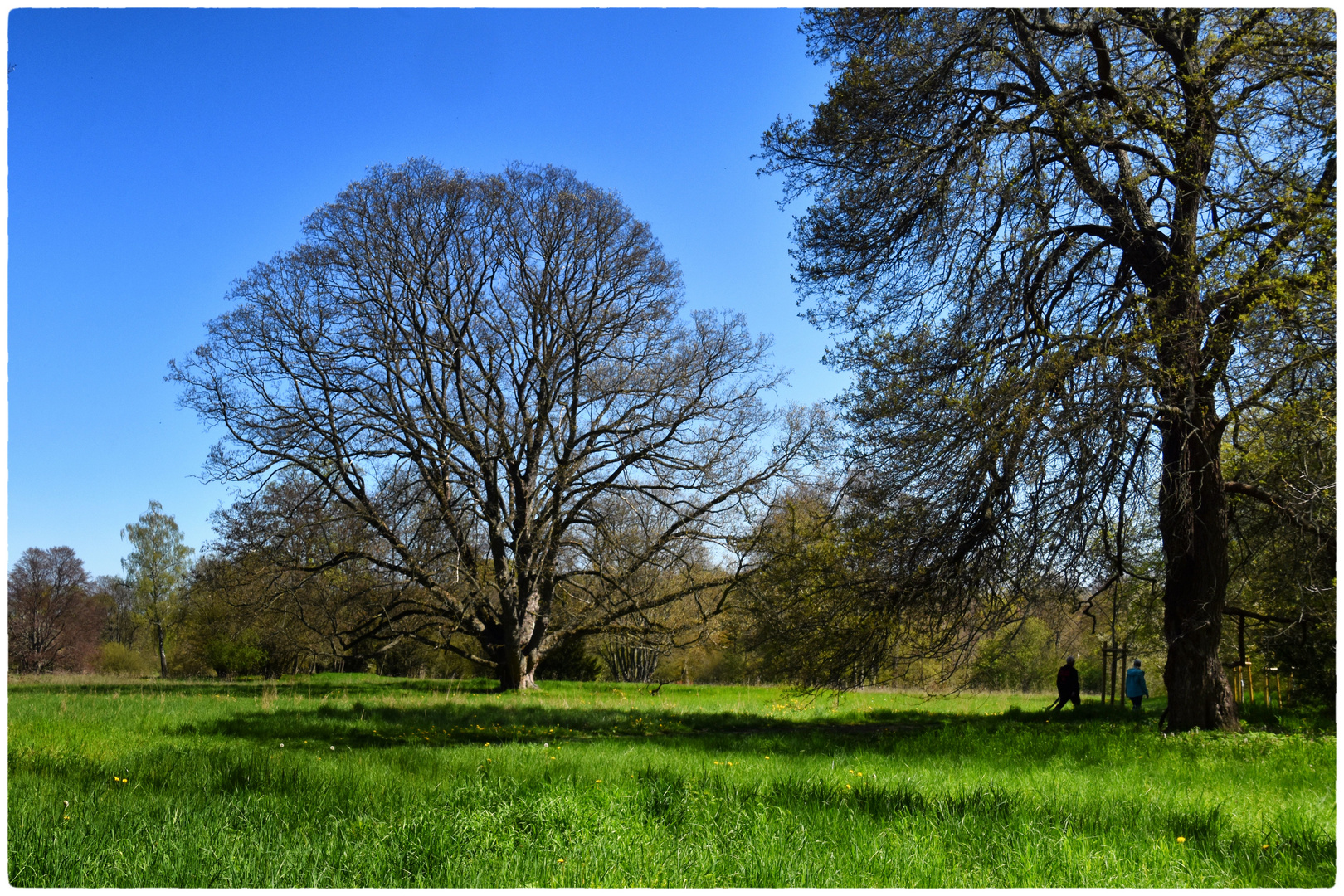 Langensteiner Park