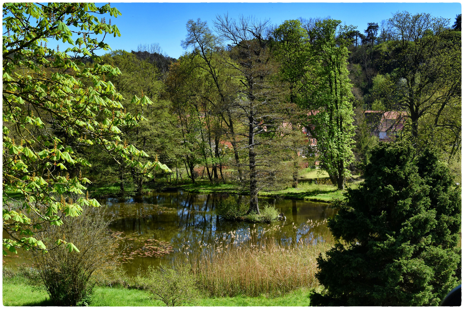 Langensteiner Teich - Idylle