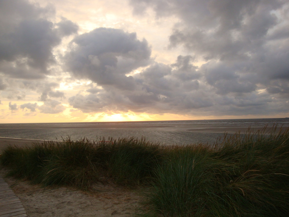 Langeoog 08/09