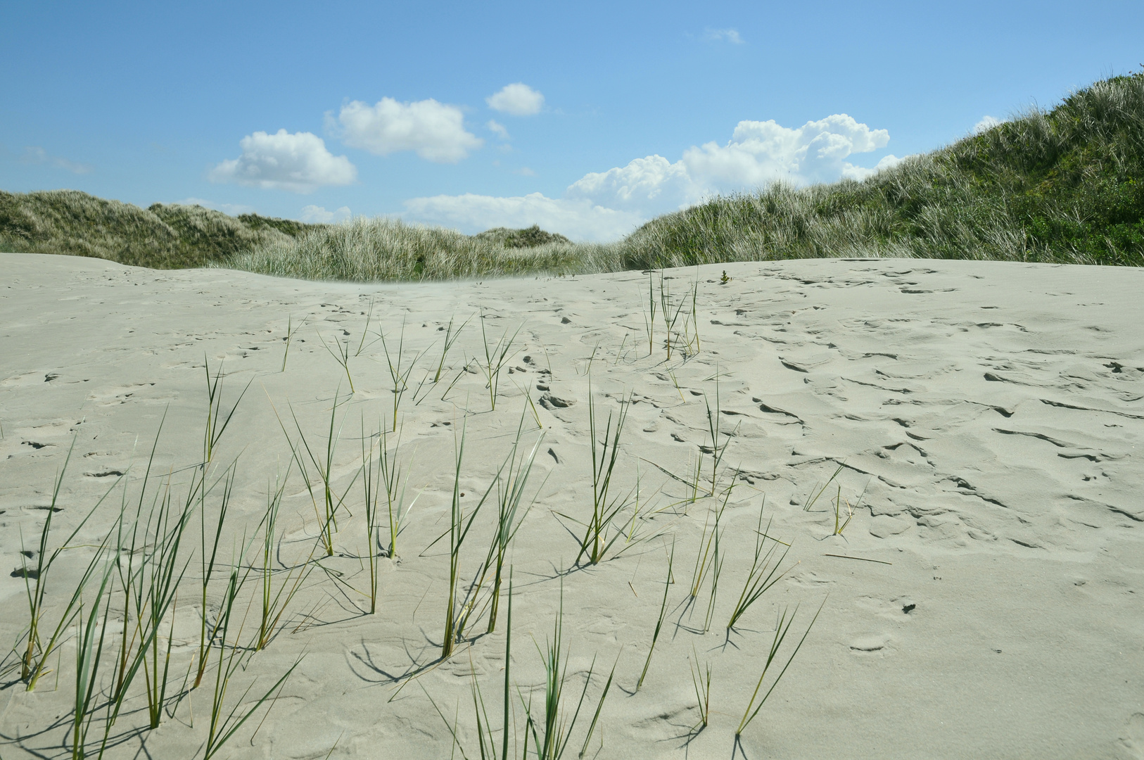 Langeoog - 1