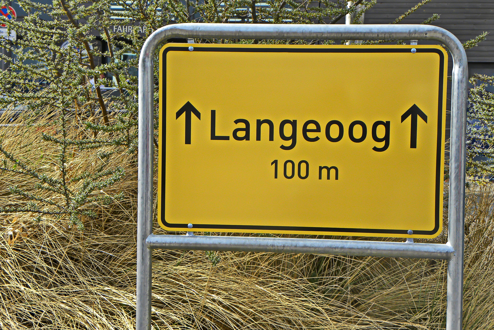 Langeoog 100 m