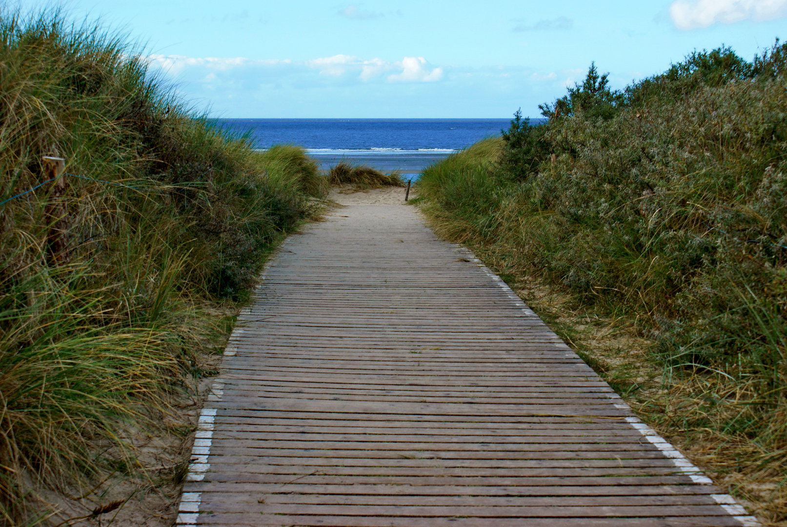 Langeoog 183