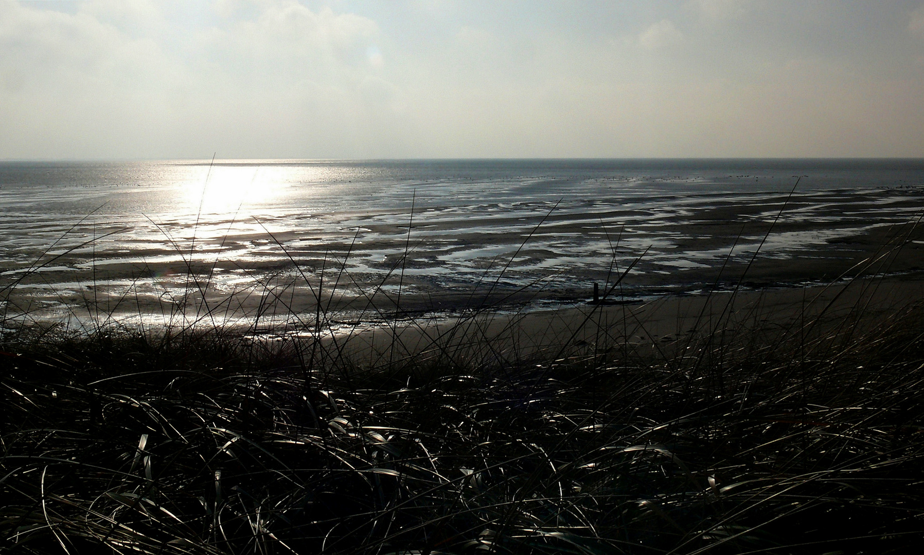 Langeoog 2009