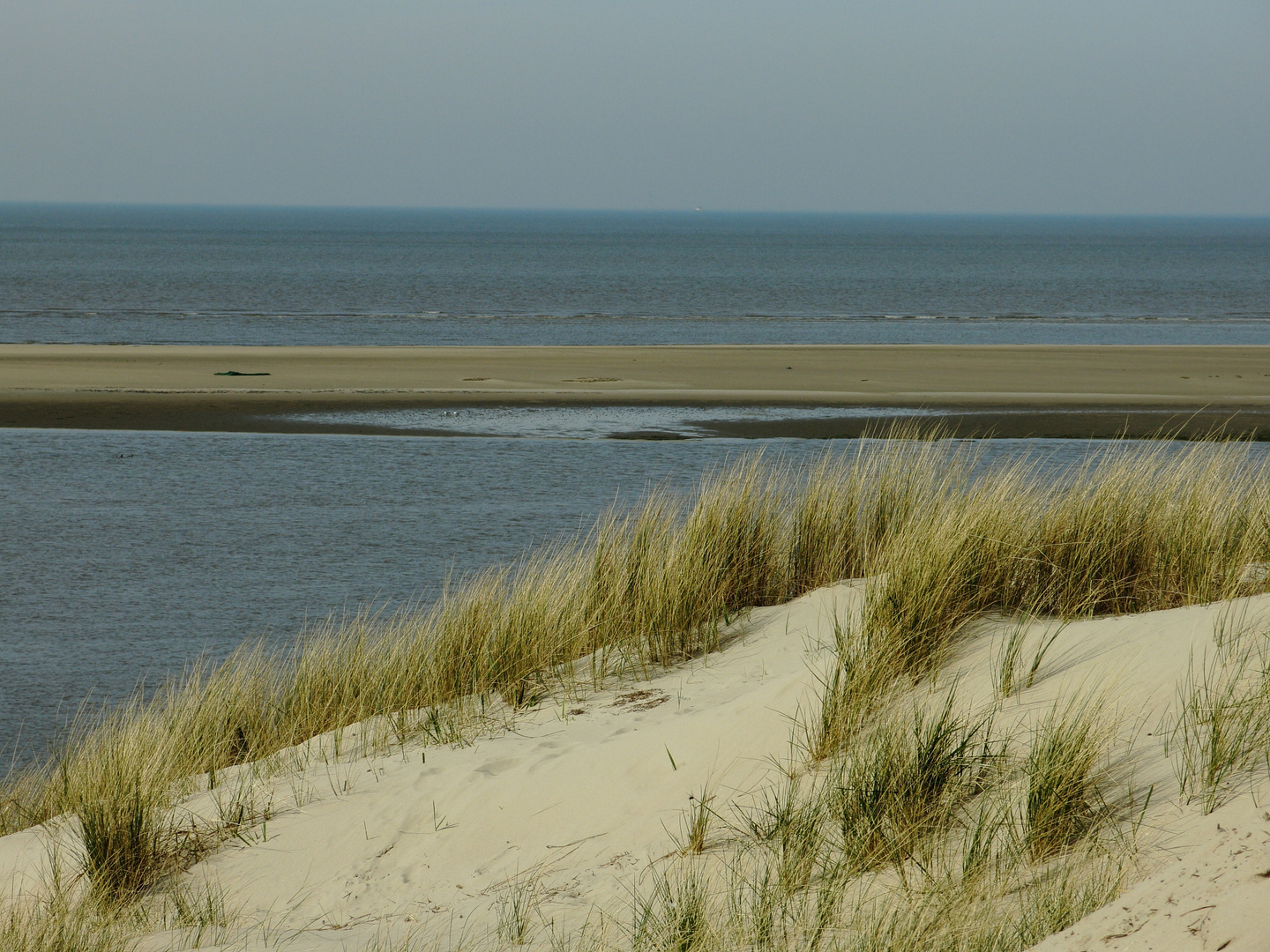 Langeoog 2017 1