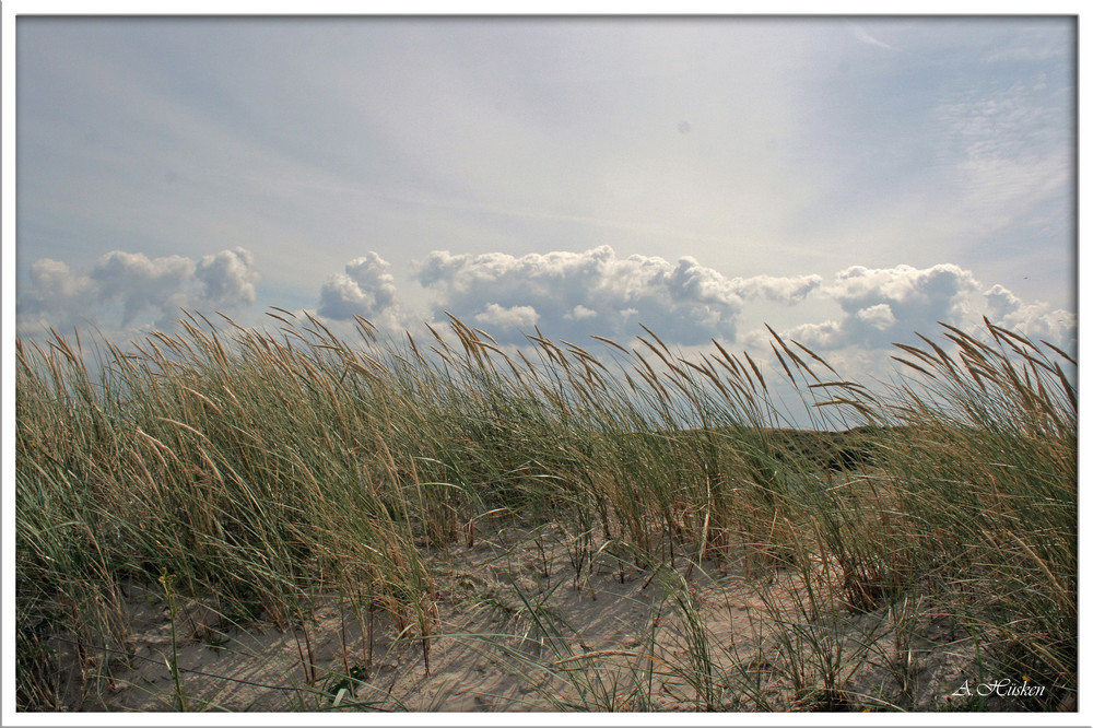 Langeoog