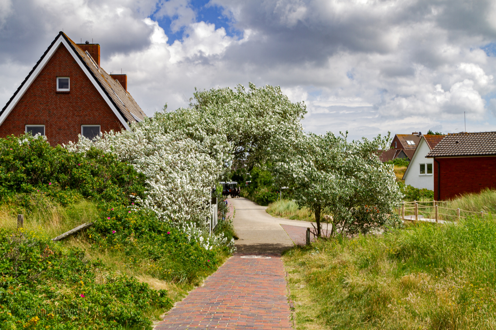 Langeoog