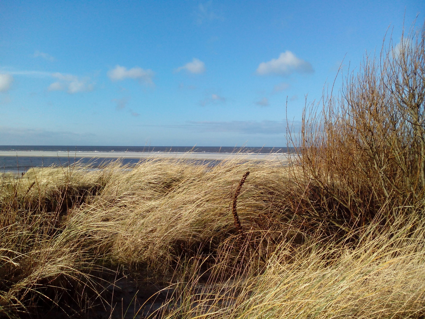 Langeoog