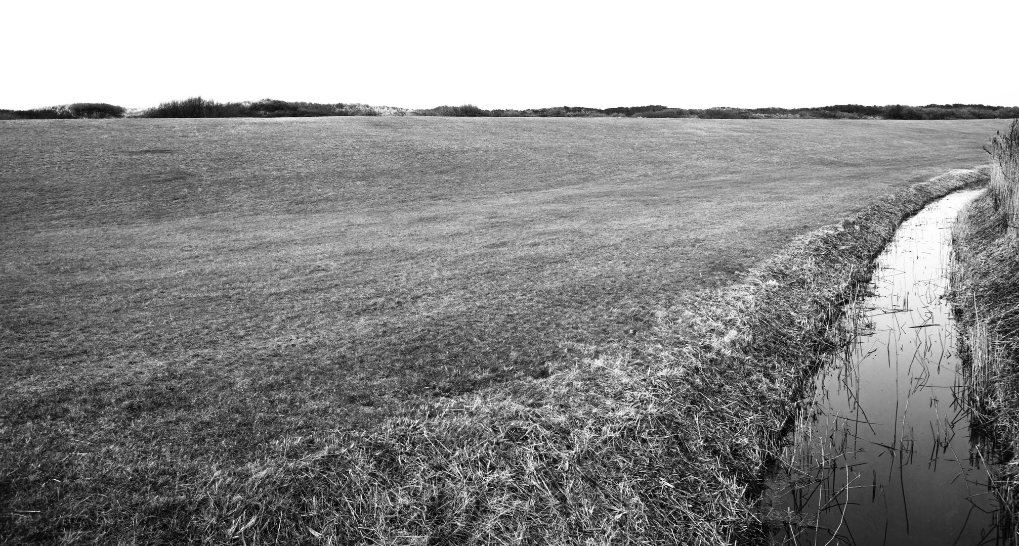 Langeoog - Blick auf die Dünen