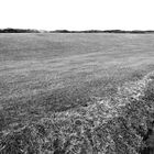 Langeoog - Blick auf die Dünen