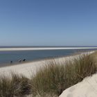 Langeoog 