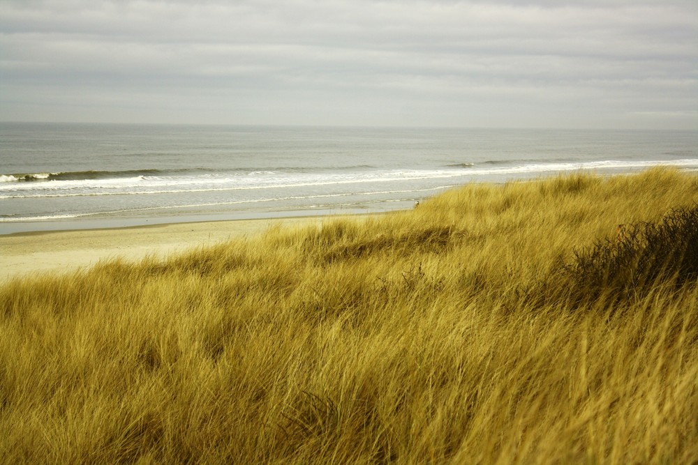 Langeoog