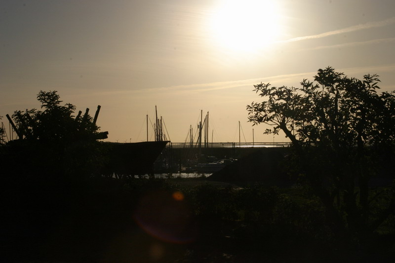 Langeoog die Insel fürs Leben