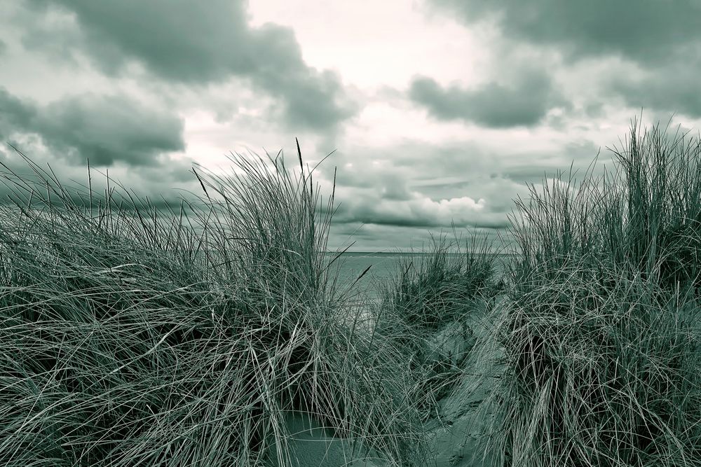 langeoog dünenlandschaft