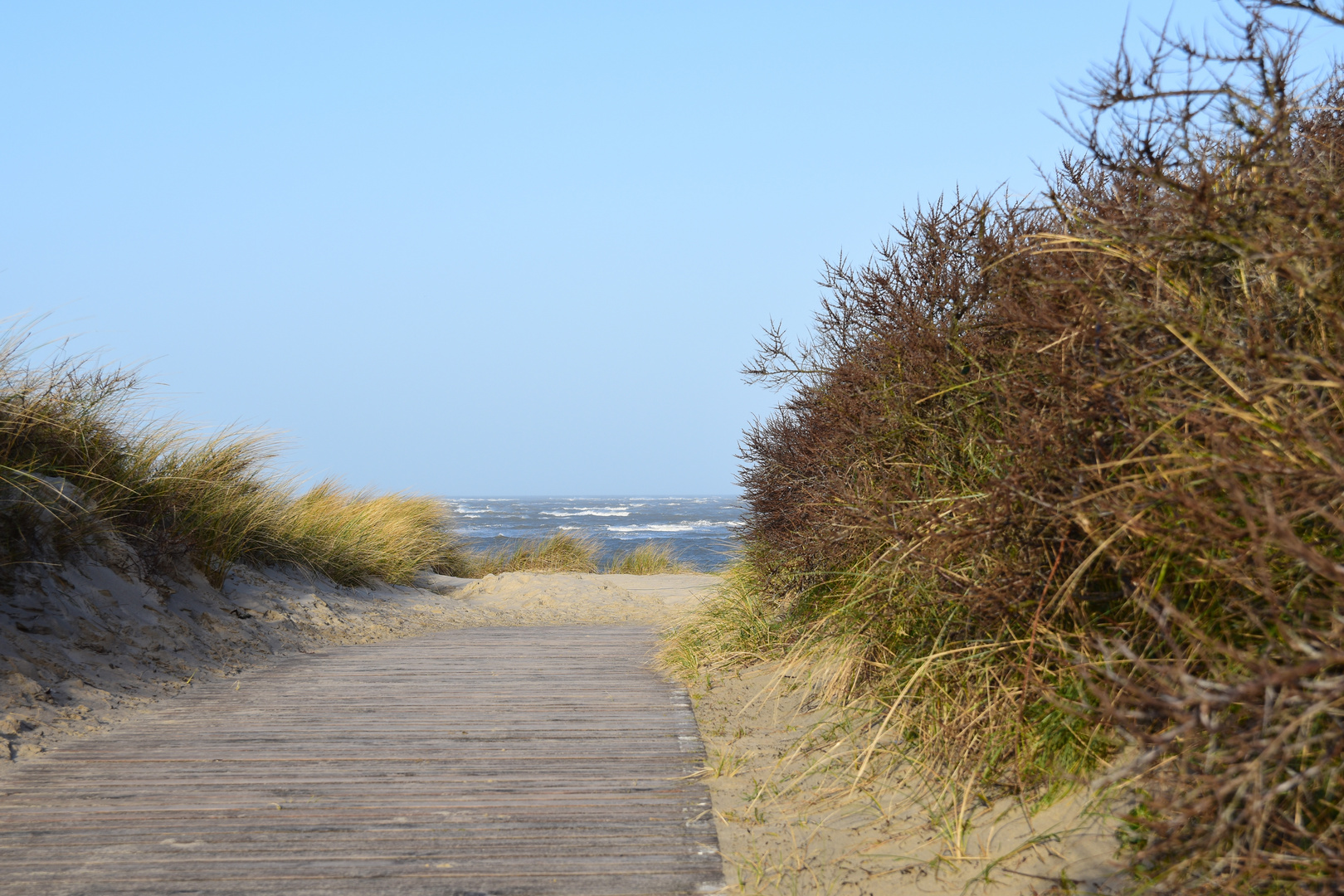 Langeoog Februar 2020 (1)