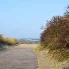 Langeoog Februar 2020 (1)