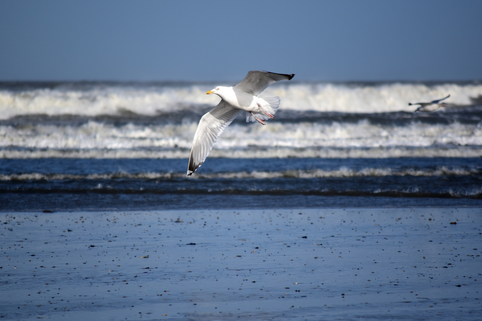 Langeoog Februar 2020 (10)