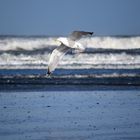 Langeoog Februar 2020 (10)