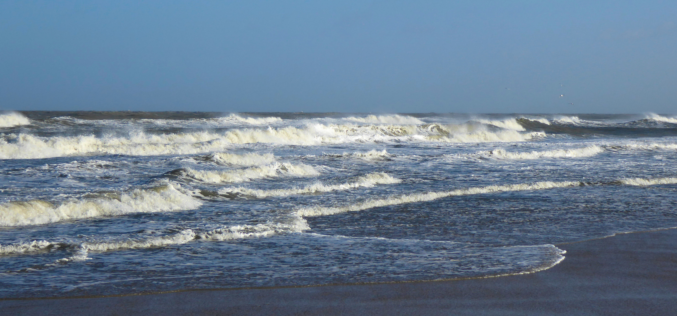 Langeoog Februar 2020 (18)