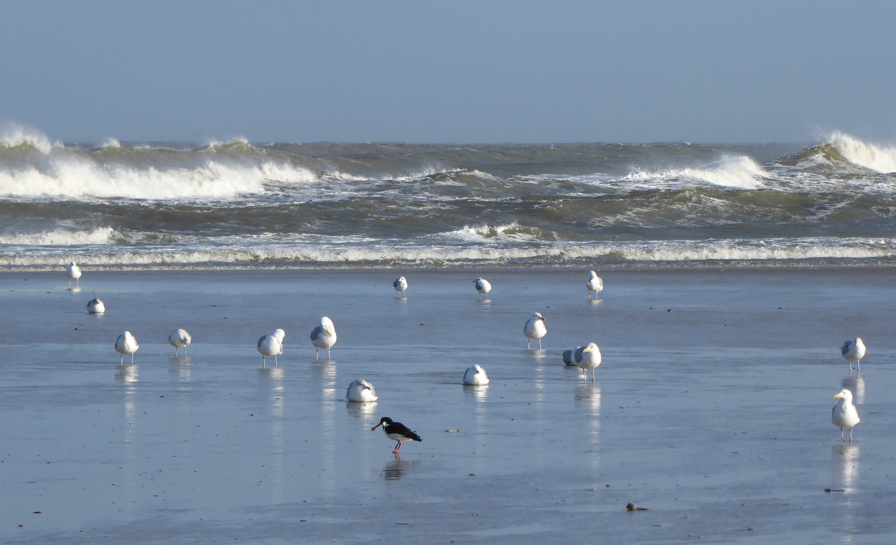 Langeoog Februar 2020 (33)