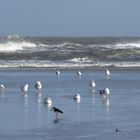 Langeoog Februar 2020 (33)