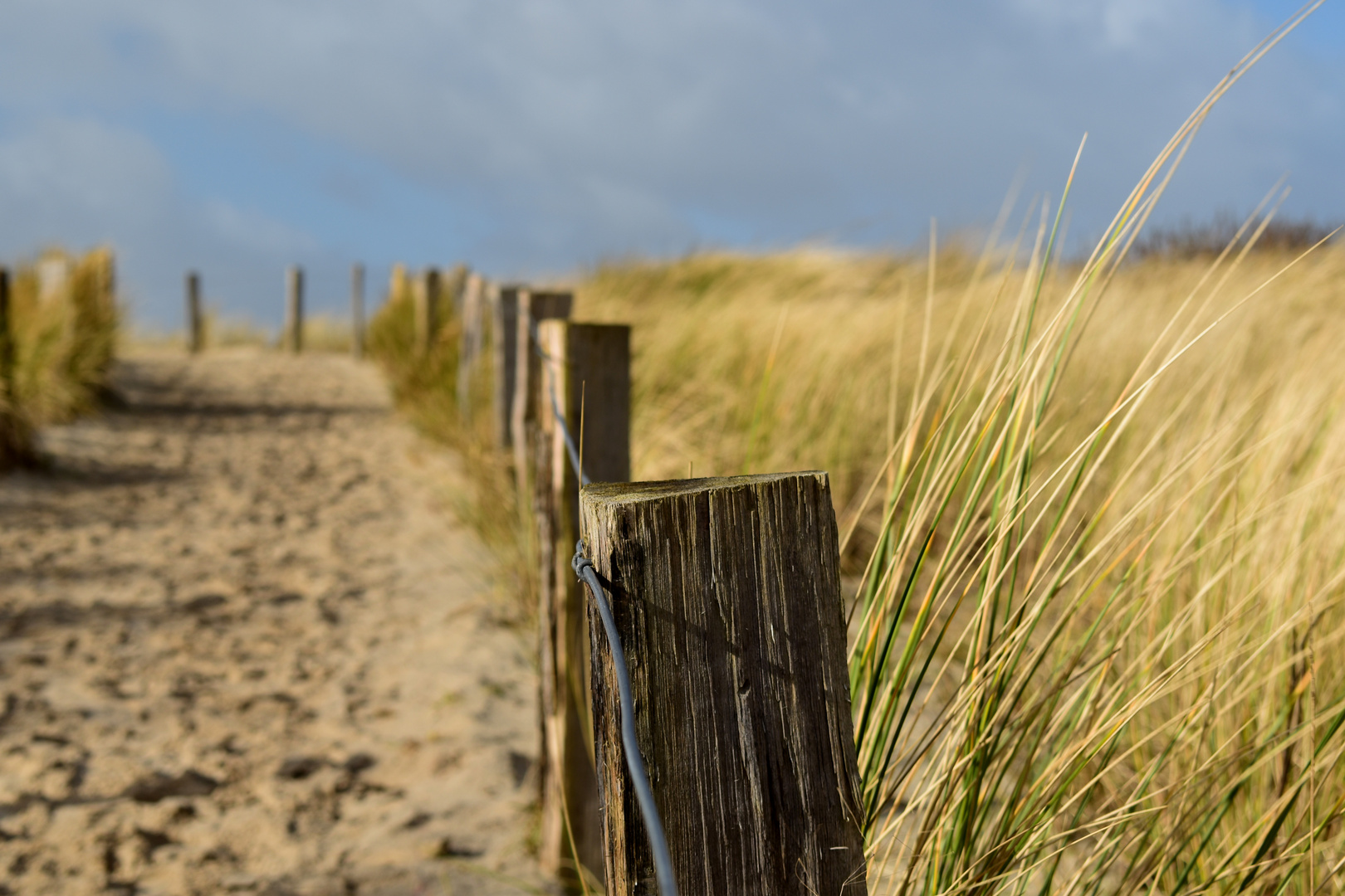 Langeoog Februar 2020 (7)