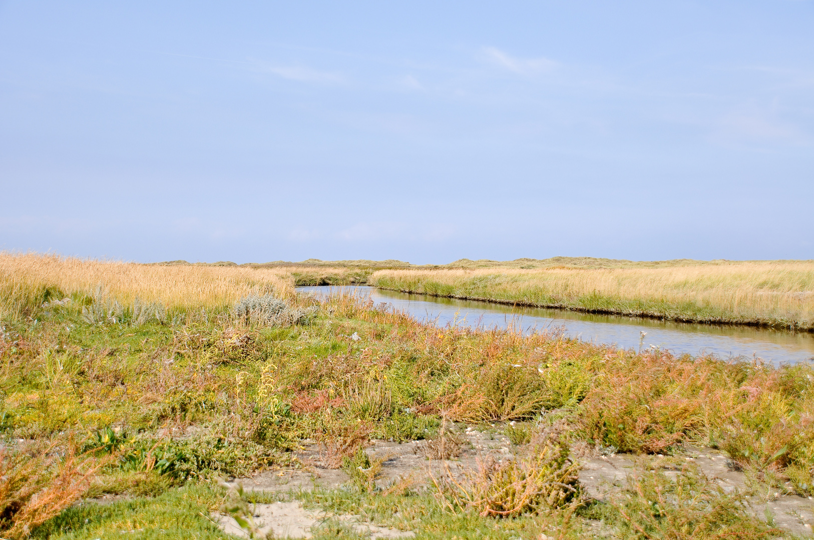 Langeoog -Grüne Mitte der Insel-