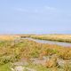 Langeoog -Grne Mitte der Insel-