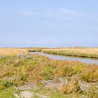 Langeoog -Grüne Mitte der Insel-