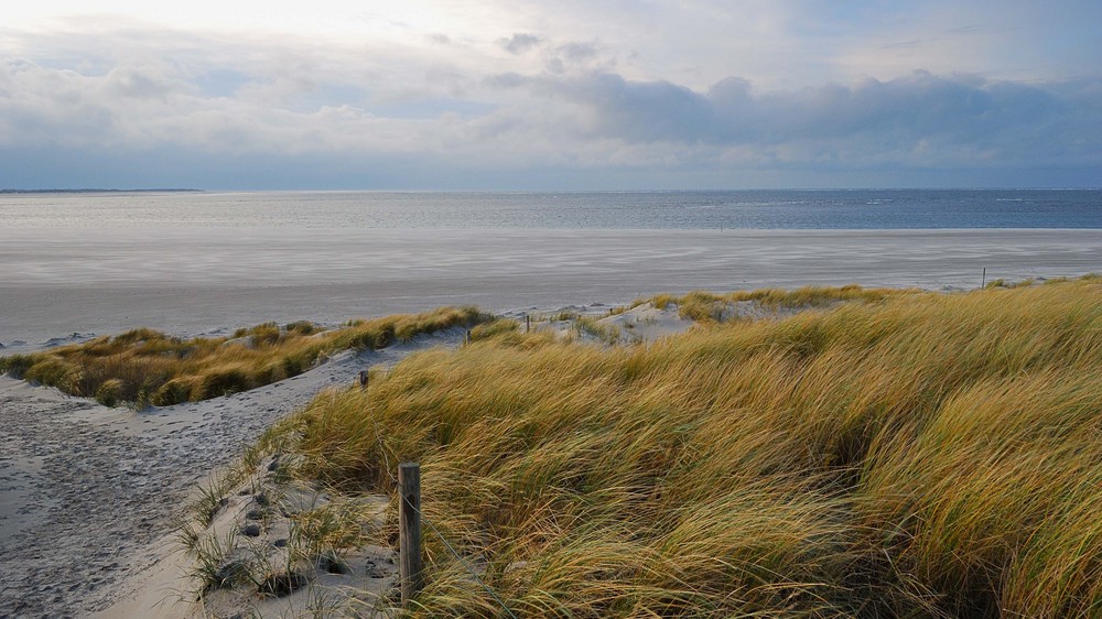 langeoog hauptstrand