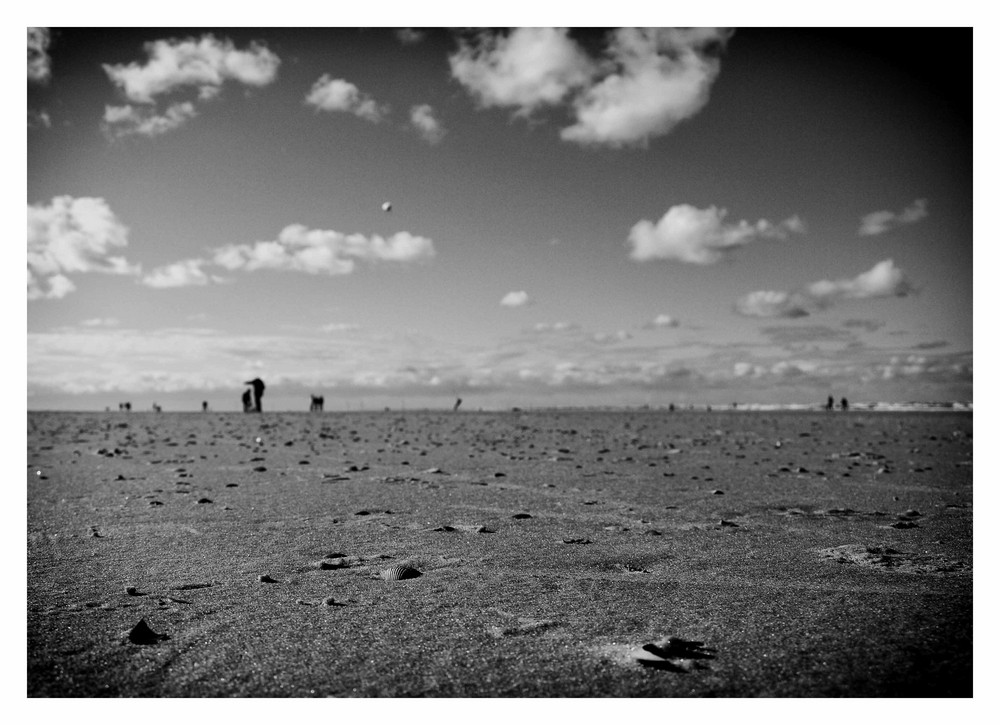 ***Langeoog II***