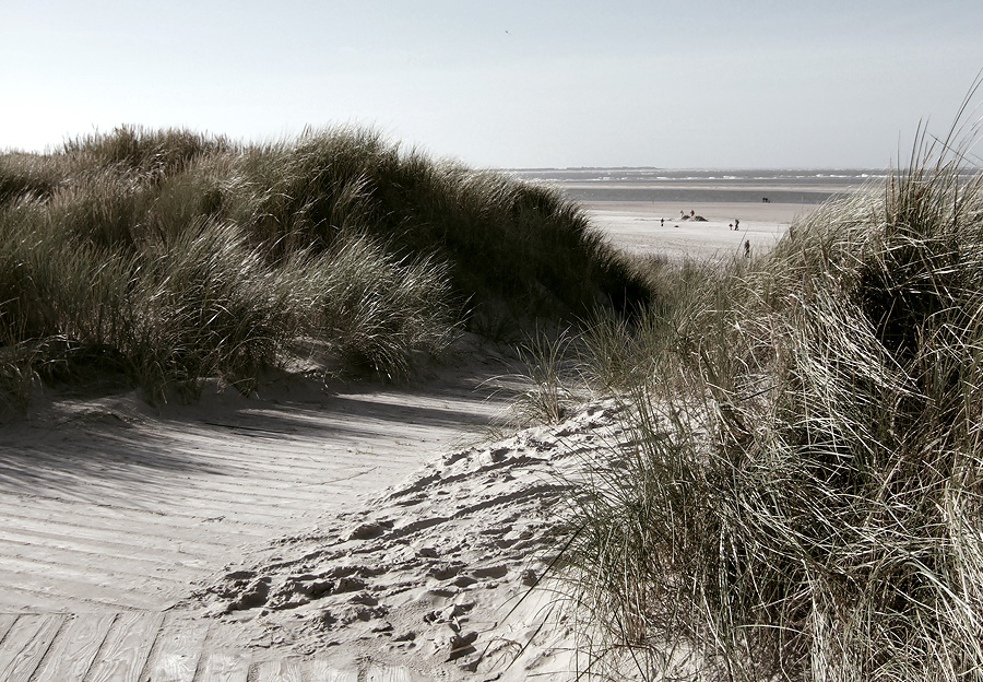 ... Langeoog II ...