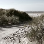 ... Langeoog II ...