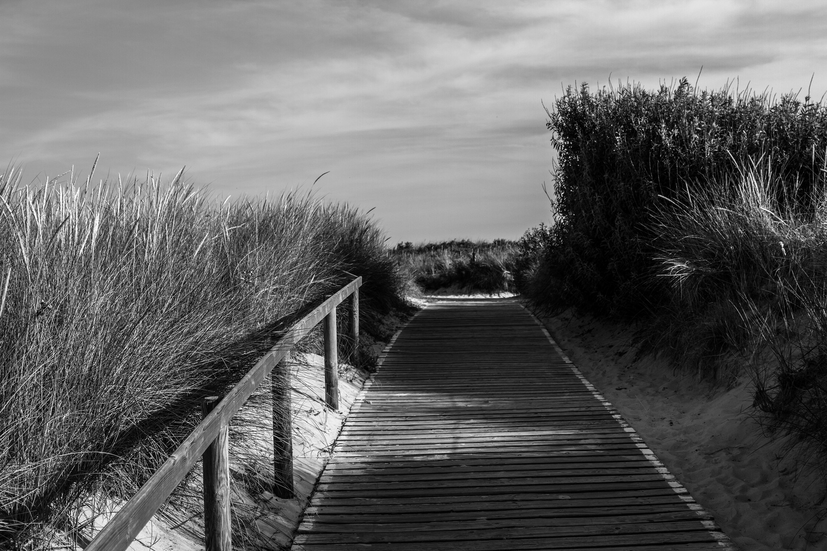 Langeoog im Juli, Schwarz-Weiß (3)