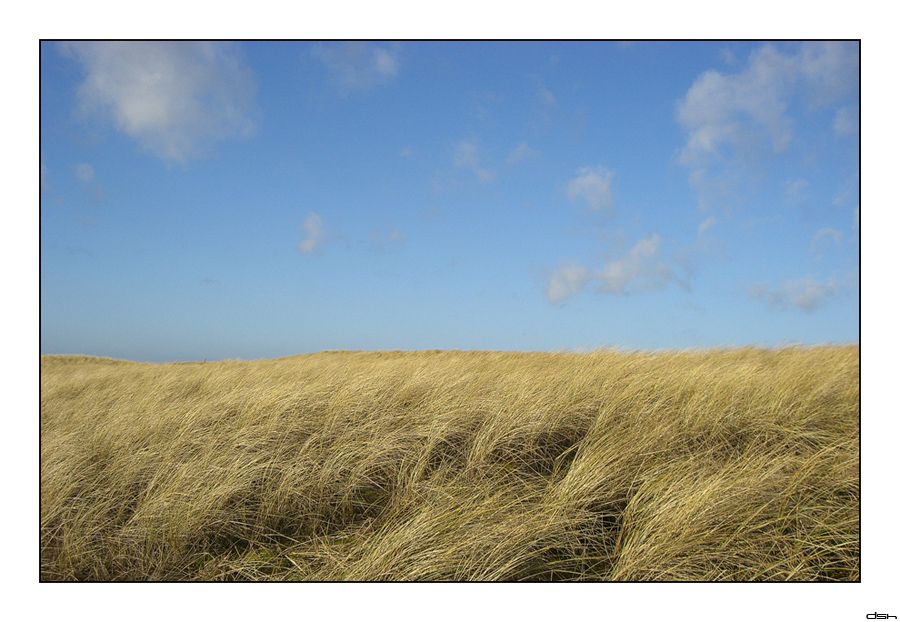 Langeoog Impressionen [4]