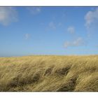 Langeoog Impressionen [4]