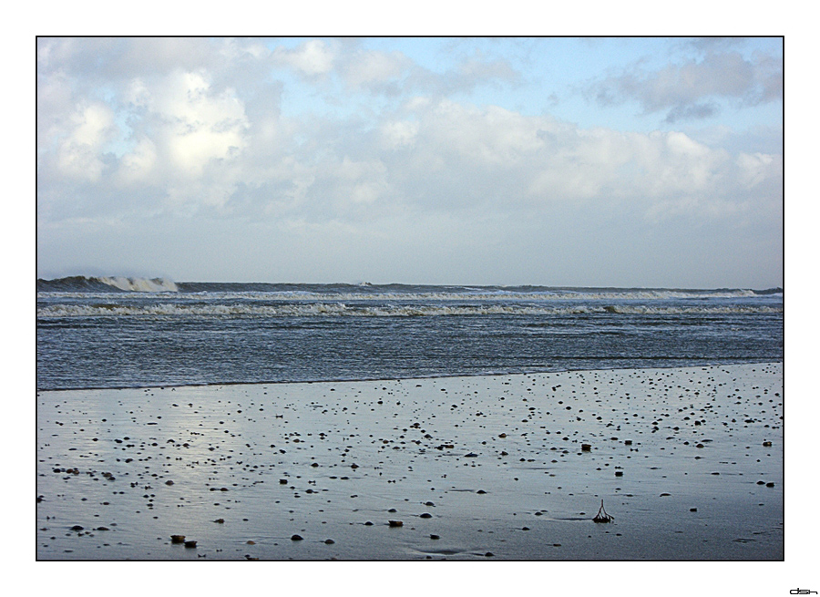 Langeoog Impressionen [6]