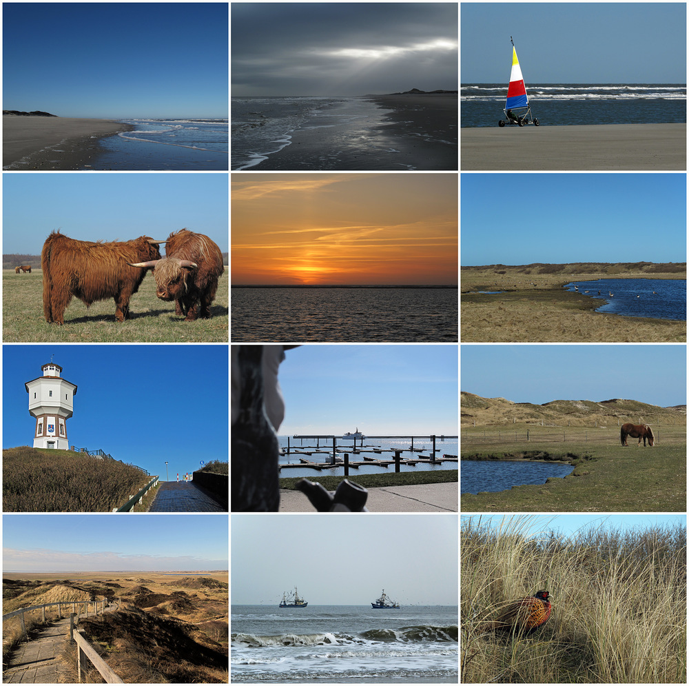 Langeoog Impressionen