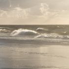 Langeoog - Insel fürs Leben