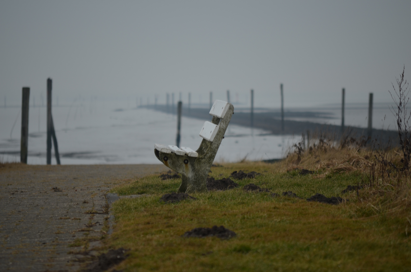 Langeoog Januar 2017 (1)