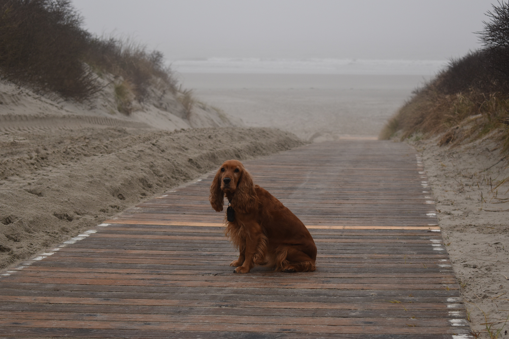 Langeoog Januar 2018 (22)