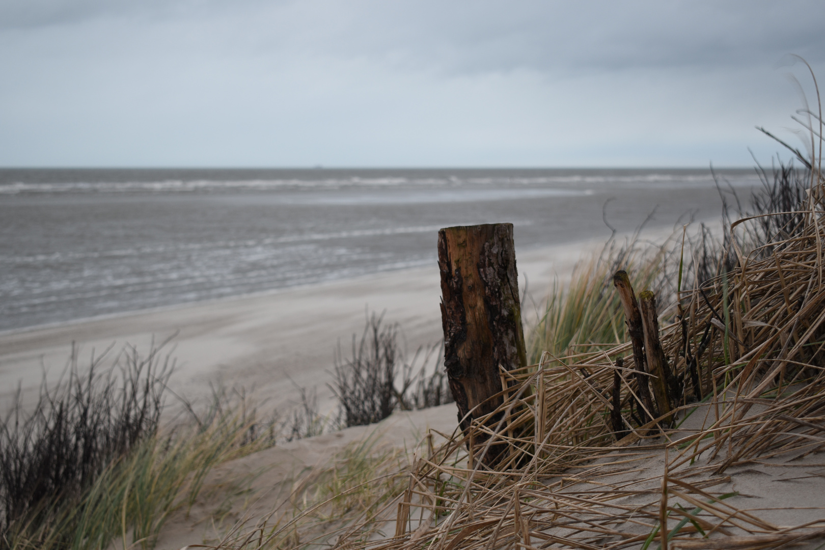 Langeoog Januar 2018 (28)