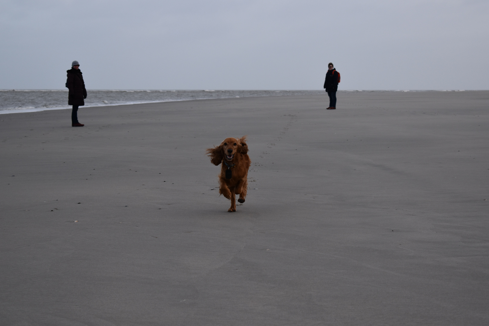 Langeoog Januar 2018 (37)