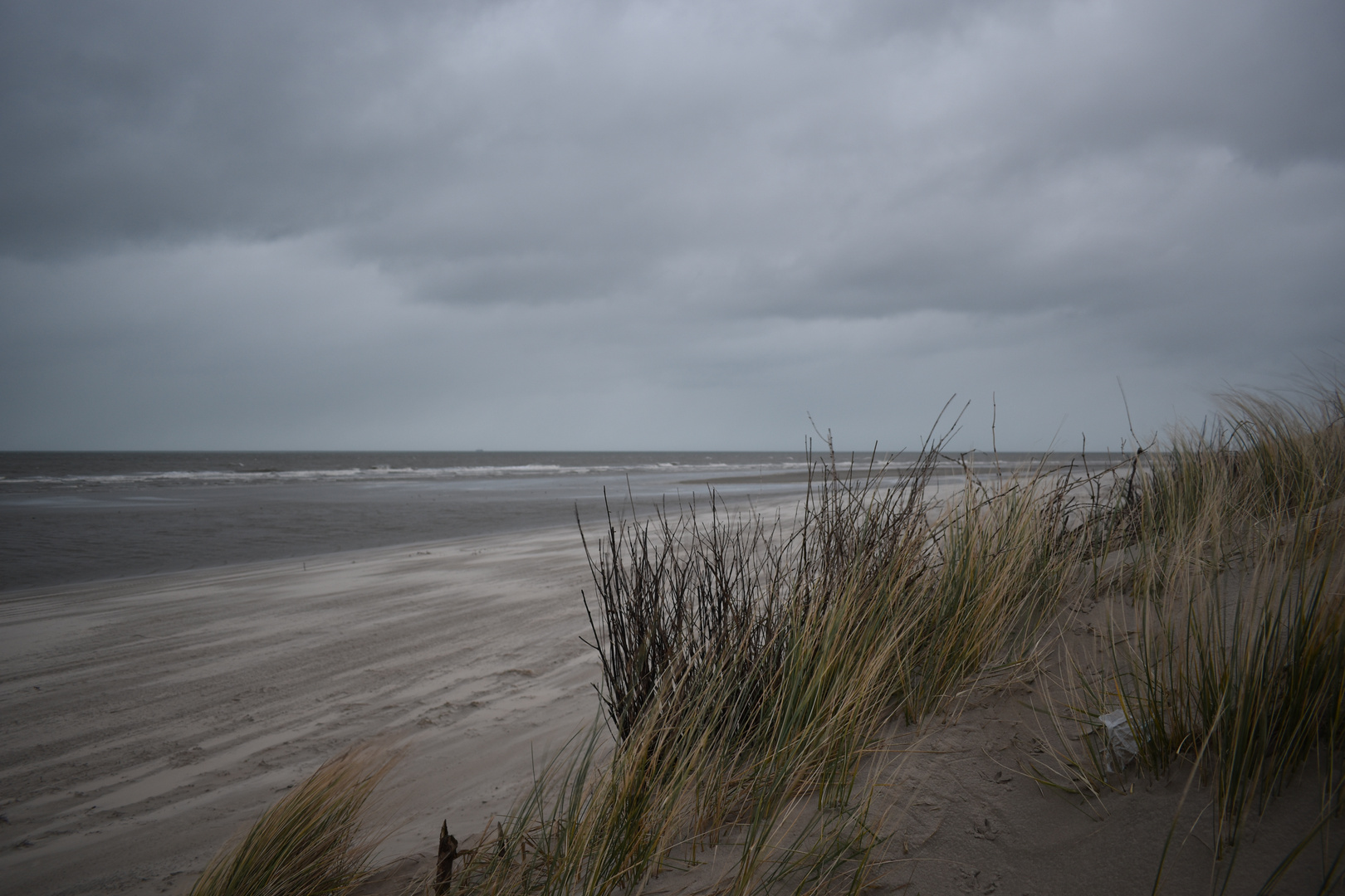 Langeoog Januar 2018 (38)