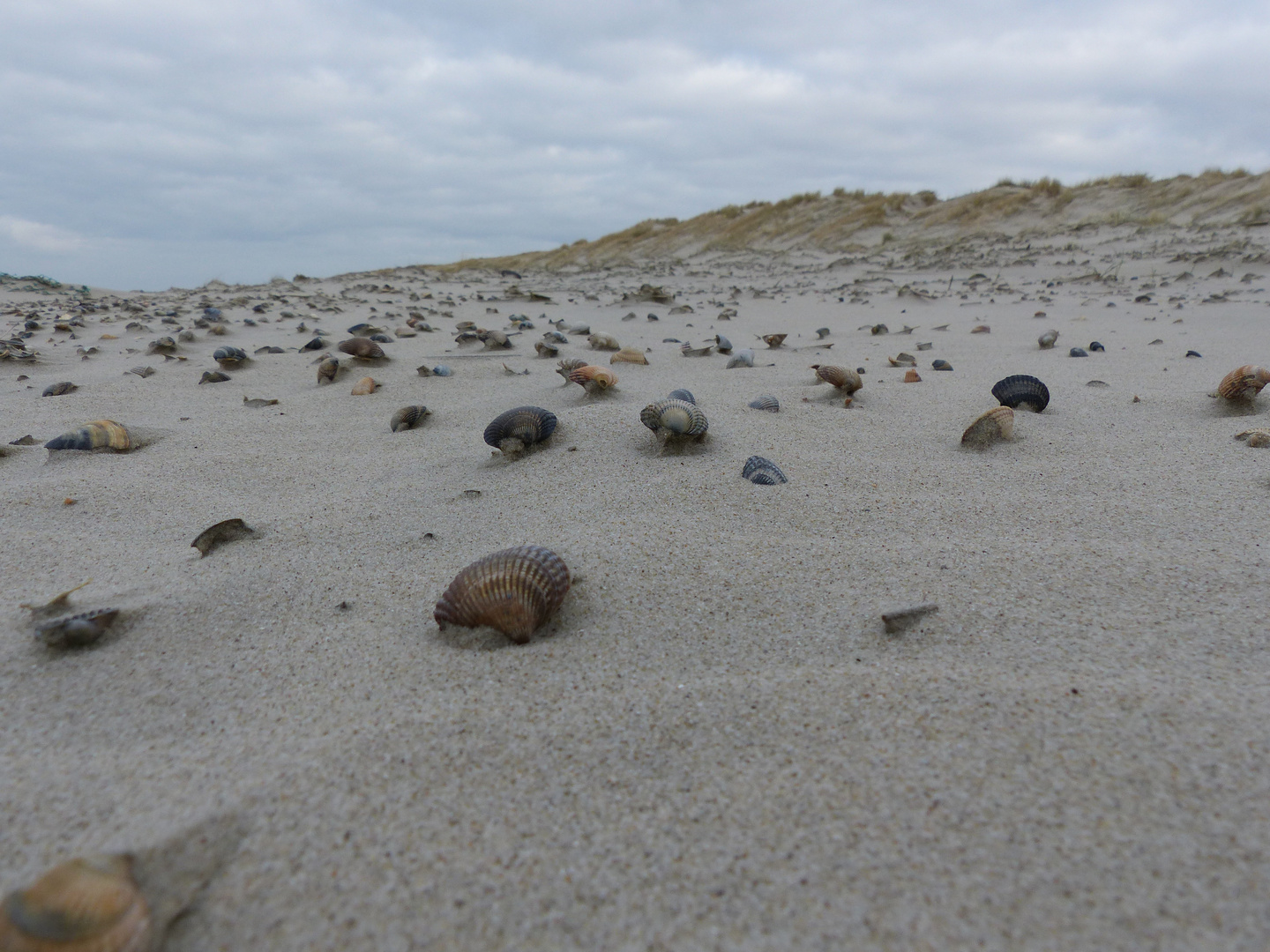 Langeoog Januar 2018 (40)