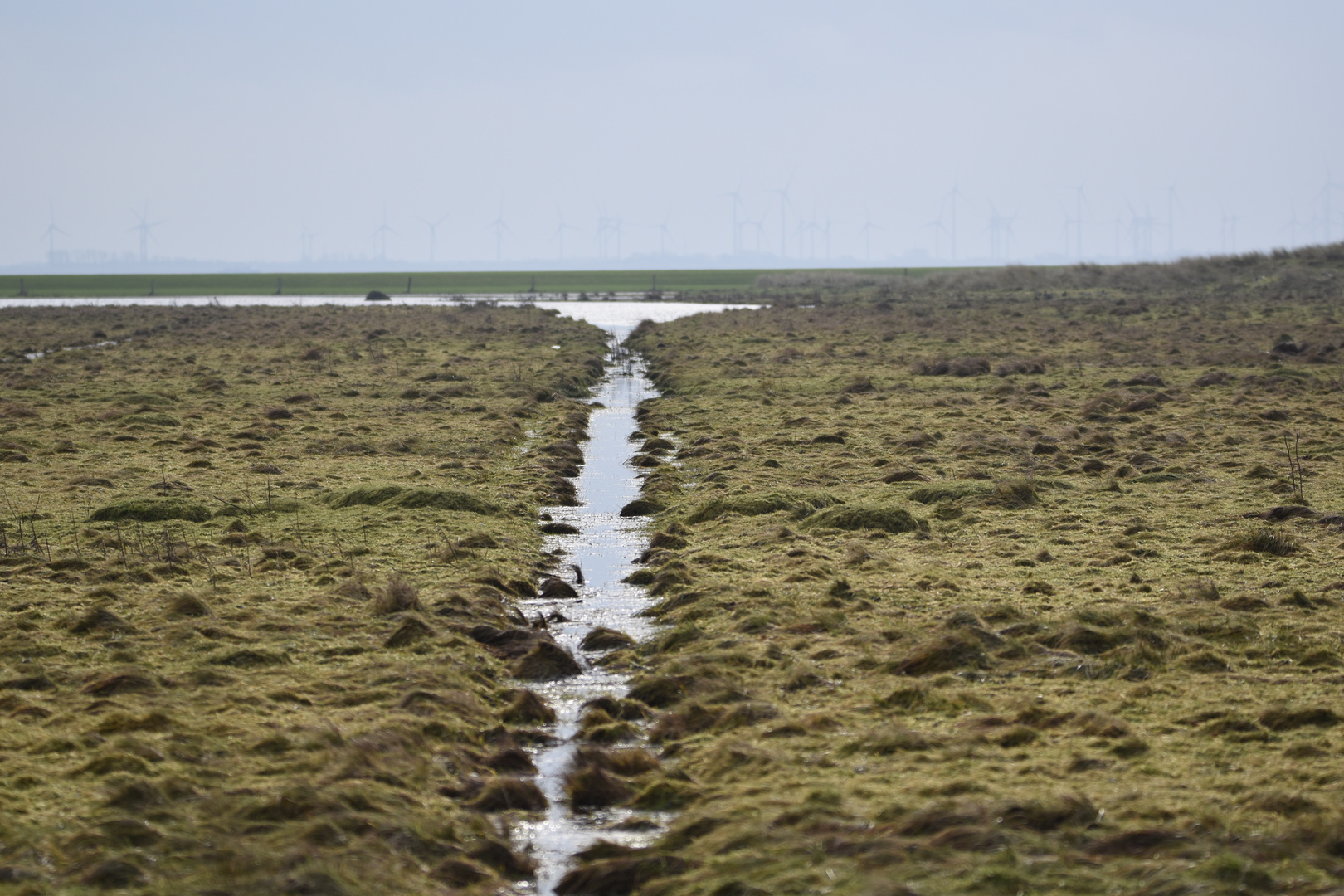 Langeoog Januar 2018 (41)