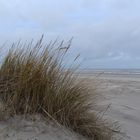 Langeoog Januar 2018 (42)