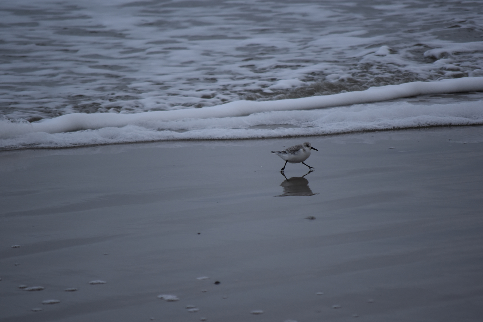 Langeoog Januar 2018 (43)