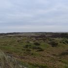 Langeoog Januar 2018 (56)