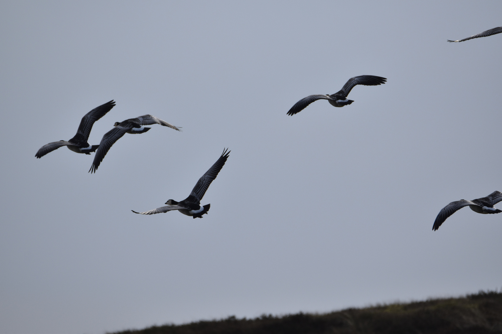 Langeoog Januar 2018 (58)